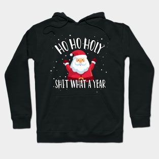 Ho Ho Holy Shit What A Year - Funny Christmas Gift 2020 Hoodie